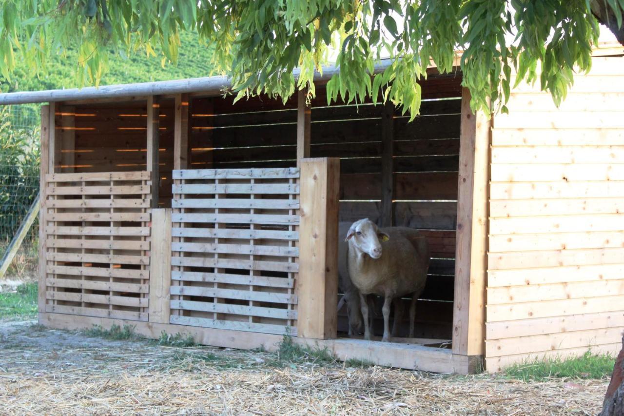 Agroturismo Terralieta
