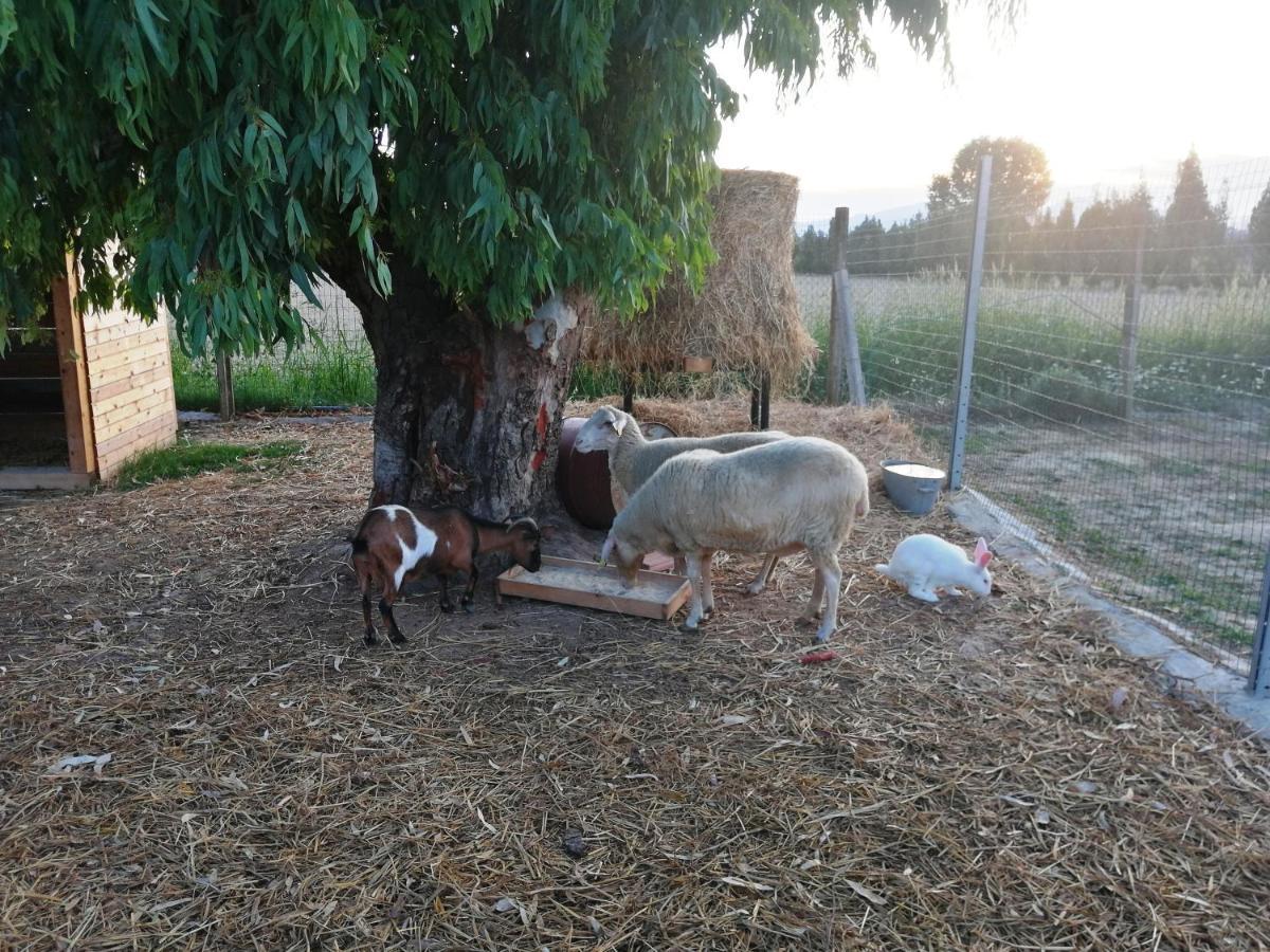 Terralieta Agroturismo