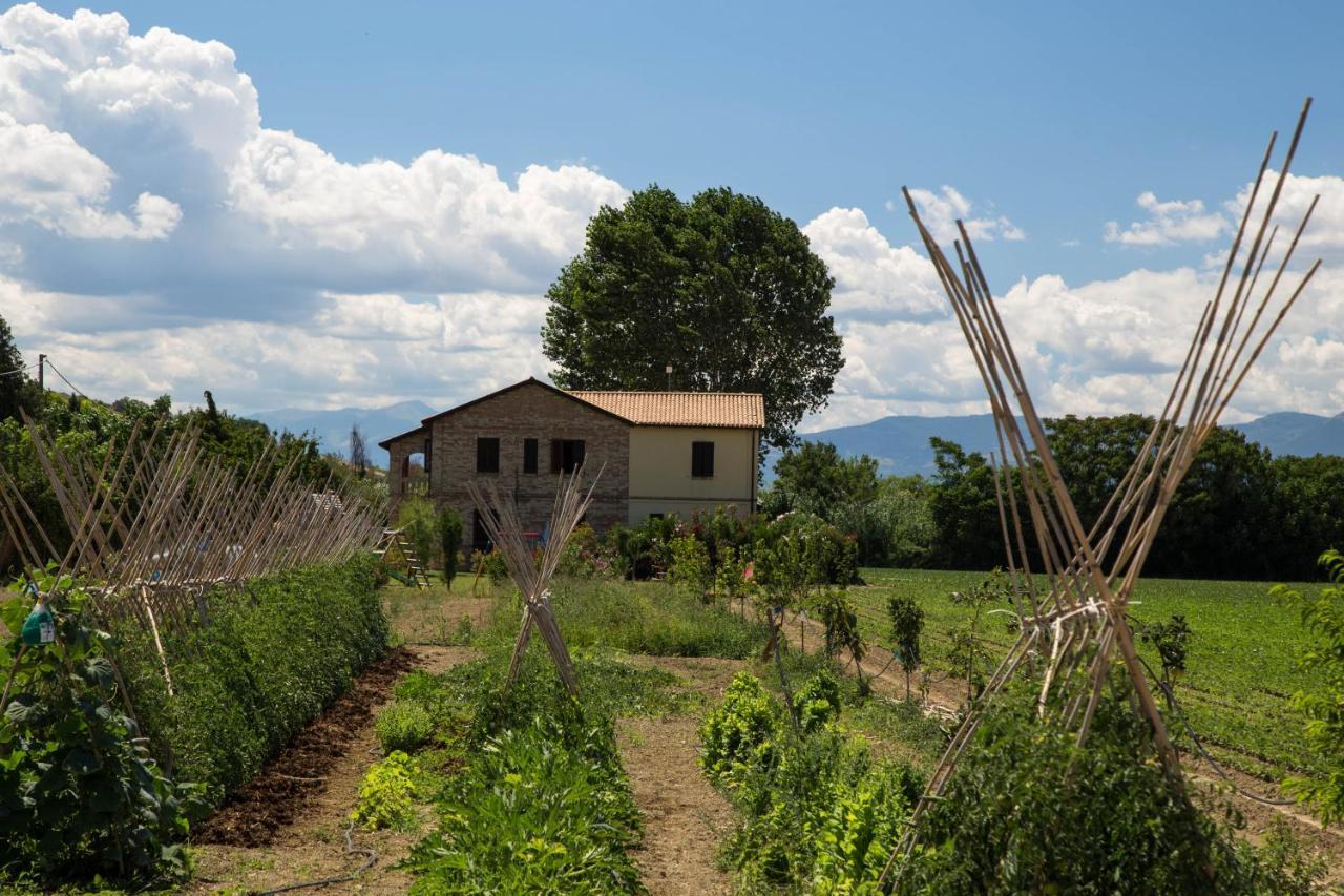 Vakantieboerderij Terralieta Roseto Degli Abruzzi