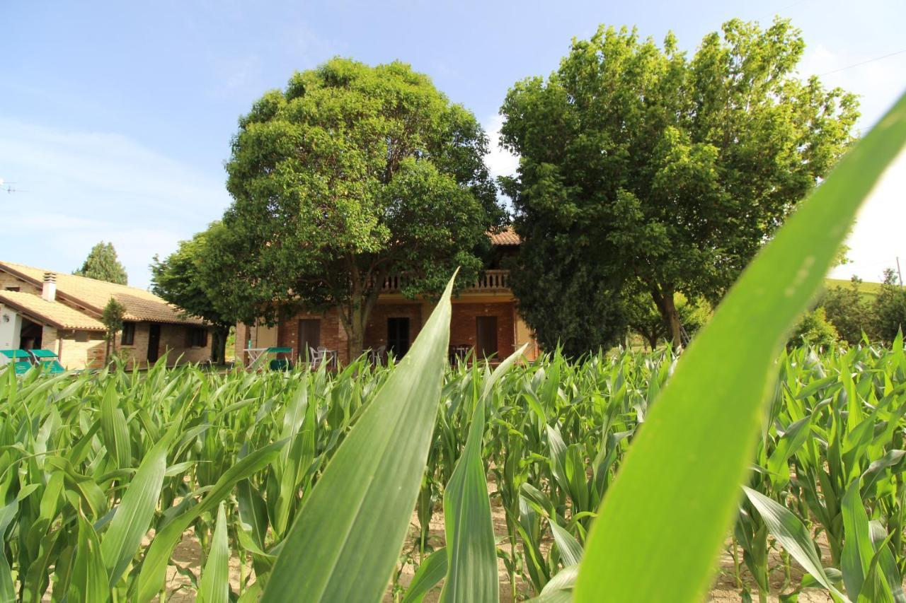 Terralieta Agroturismo