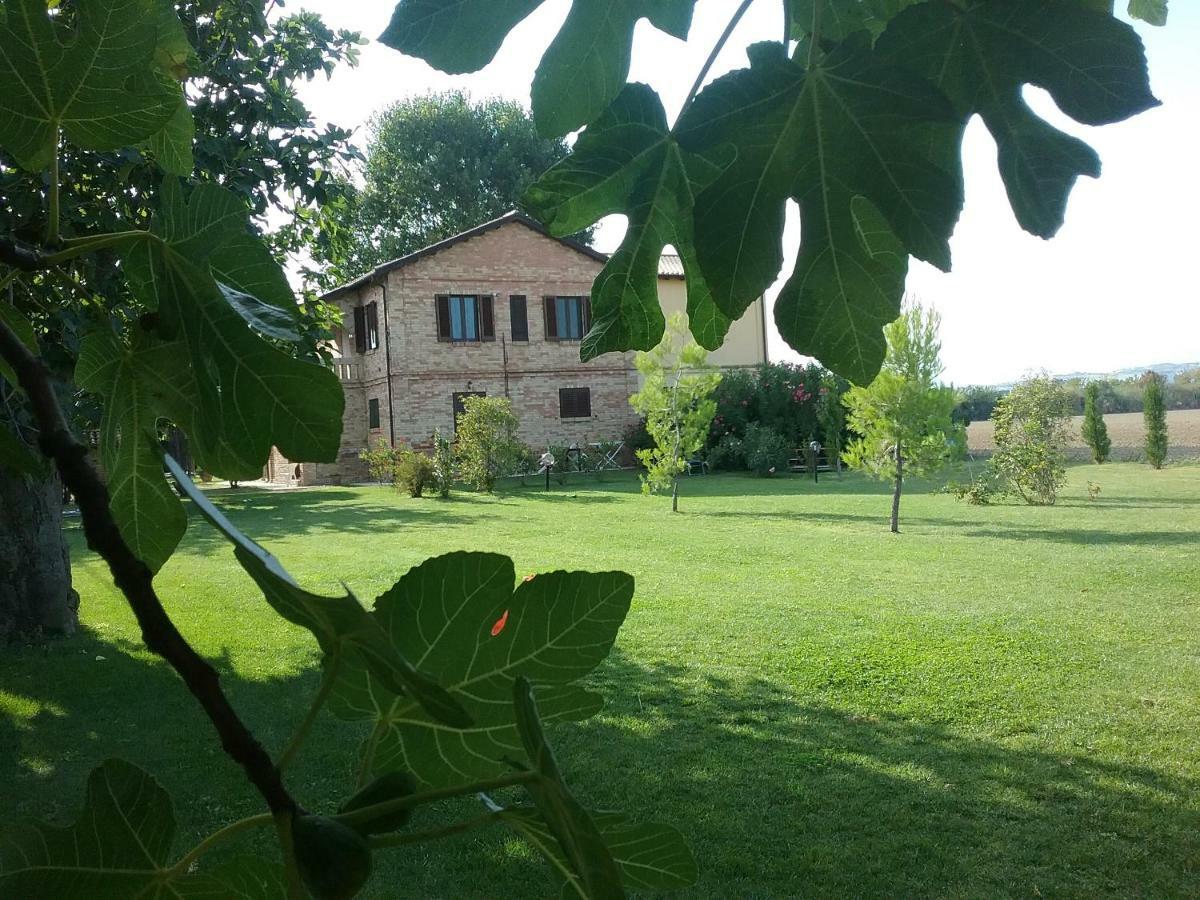 Agriturismo Terralieta *